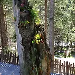 Haus Daniel Нойштифт-им-Штубайталь
