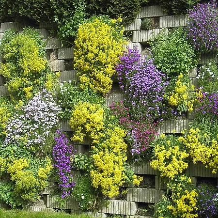 Apartment Haus Daniel Neustift im Stubaital