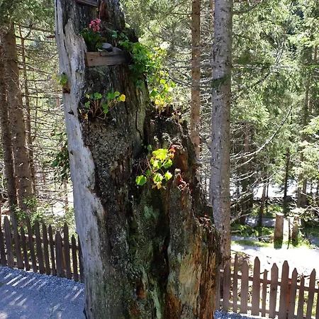Haus Daniel Neustift im Stubaital