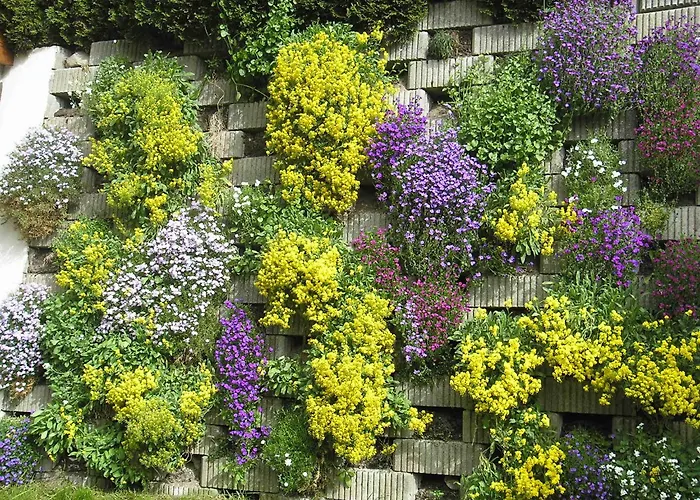 Apartment Haus Daniel Neustift im Stubaital