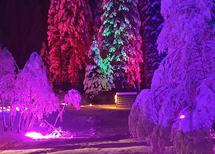 Haus Daniel Apartment