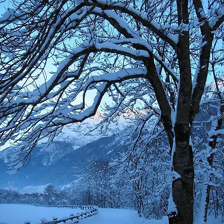 Haus Daniel ניוסטיפט אים סטובאיטל